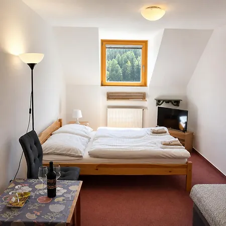 Modrin Wellness V Cene Hotel 3*